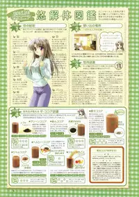 Canvas Visual Fan Book