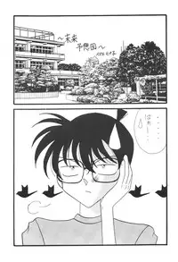 [Mind-A (Izumi Hinako)] Hadaka de Apron (Detective Conan)