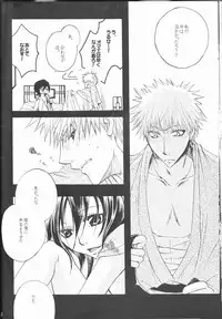 (C73) [Utsumuki Garden (Aotsuki Kakka)] Sputnik (Bleach)