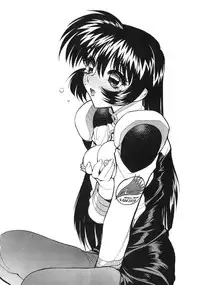 (C52) [Nawanoren (Shimizu Kiyoshi)] NN GACHOON (Various)