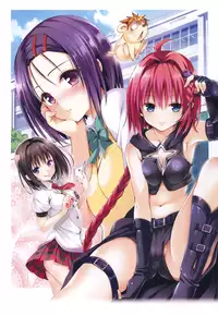 [Yabuki Kentaro] To Love-Ru -Trouble- Darkness Artbook Harem Gold