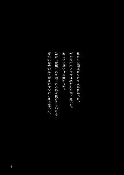 [Suzupony (Suzunomoku)] ScanningGirls:N2 [Digital]