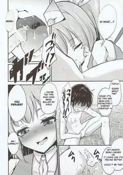 Daiyousei no Itazura | The Mischief of Daiyousei