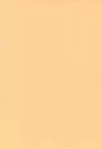 (SC11) [CHEROKEE (Maeda)] cherokee works for 20th century