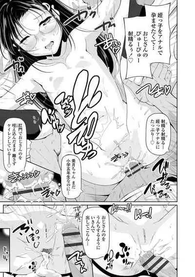 [Fuyutugu] Chisaiko demo zenbuhairu ana [Digital]