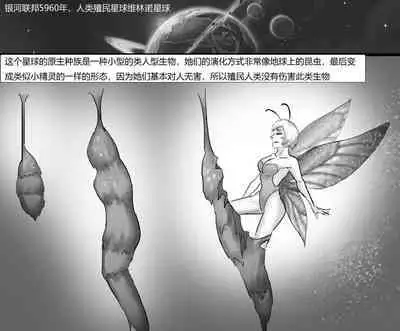 [King] 《茧中精灵》《The elf in the cocoon》 Chinese