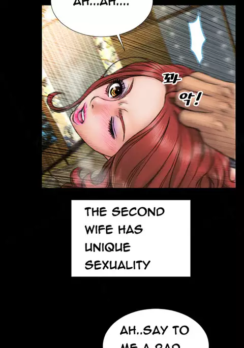 My Wives Ch.1-29
