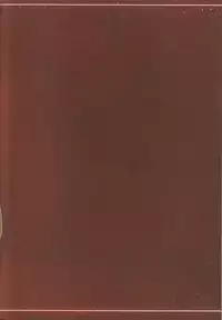 (C93) [Ping-Point (Peter Mitsuru)] Nangoku Mitsuki - Tropical Princess Elise (Fire Emblem If)