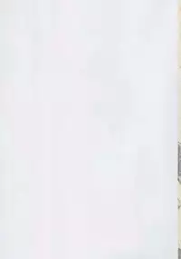 (C88) [PNO Group (Hase Yuu, Hikawa Yuuki)] Carni☆Phan tic Factory 8 (Fate/kaleid liner Prisma Illya)