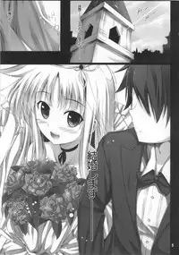 (C80) [IV VA SHIN (Mikuni Mizuki) Home Sweet Home～Fate hen～ (Mahou Shoujo Lyrical Nanoha [Magical Girl Lyrical Nanoha])