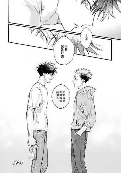 (Yougen Kinkyuu SUMMER 2021) [CANARY (bi)] FUSHI TO NEKO (Jujutsu Kaisen) [Chinese]