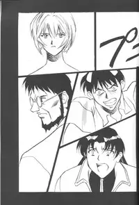 (C50) [H.P.C. Meirei Denpa (Yamamoto Yoshifumi)] Meirei Denpa Shinzoku Teishi (Neon Genesis Evangelion) [English]