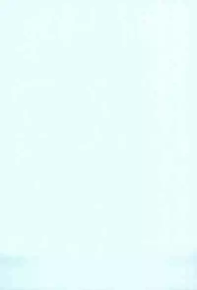 (C65) [Status Doku (Isawa Nohri)] P.P. Plan 5 (Ojamajo Doremi)