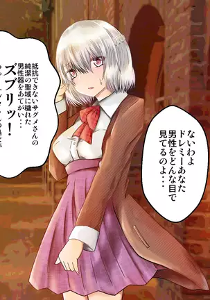 女子高生サグメ 痴漢電車編