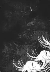 (C85) [Mikazuki Ondo (Kappa)] My Dear Bunny (Touhou Project)