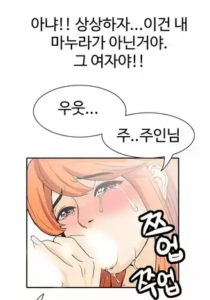 Chauffeur Service Ch.1-30.5