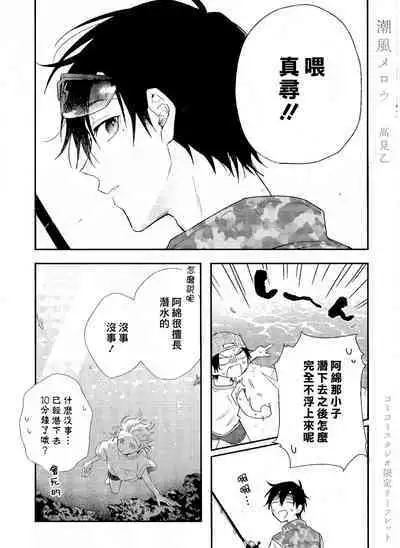 Shiokaze Mellow | 海风轻柔