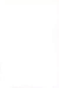 (SC49) [TTT (Miharu)] Yorozu Feti Netorare (Various)