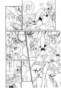 [IRIE YAMAZAKI] Princess File