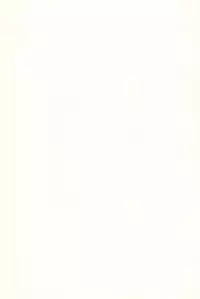 (C64) [Aniki Teikoku (Fey Tas)] L-TYPE (Super Doll Licca-chan)