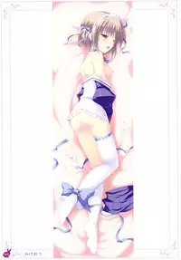 [Rabbit] habit net chronicles 2nd volume