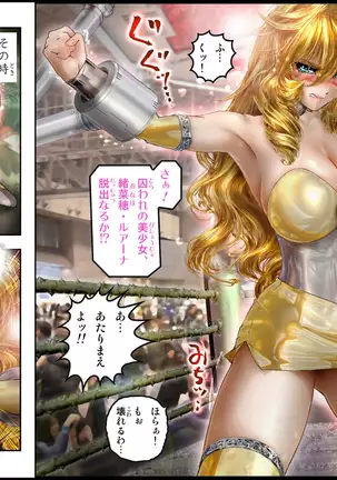 Bishoujo Fighter Onaho - Onaho Tettei Ryoujoku Hen