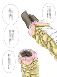 [Kasetsu Shirokuma Kakko Yoi (Yoikuma)] P045-02 Vanis Report