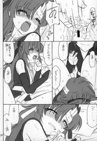 (C69) [EINSATZ GRUPPE (Charlie Nishinaka)] PRISONER 7 The Original Bird (Mobile Suit Gundam SEED Destiny)