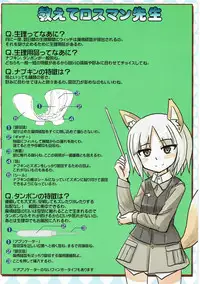 (Senjou no Otome-tachi 18) [Fuji Sengendou (Various)] 502 Seiri Youhin Nukiuchi Kensa Goudou (Strike Witches)