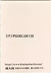 (C74) [Studio Kimigabuchi (Kimimaru)] Aru to Omoimasu (Code Geass, Noir, Read or Die)