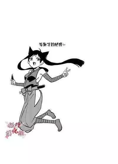 Ninja Tsurugi | 忍者鹤城