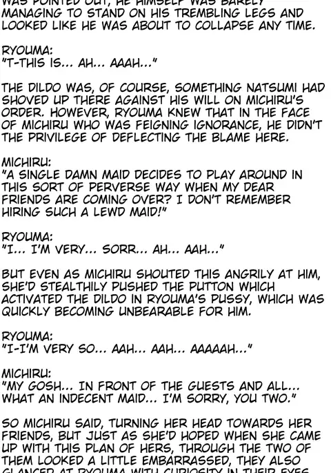 The M-to-F'ed son of a distinguished family - The spoiled rotten brat who was made a maid -