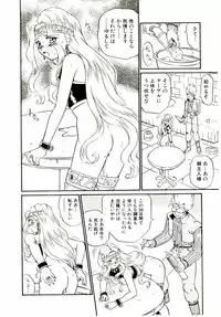 [IRIE YAMAZAKI] Princess File