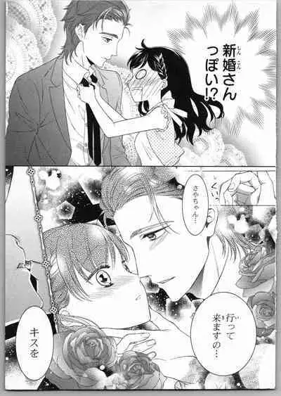 Onii-chan dakedo Ecchi ga Shitai