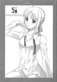 [Breeze (Haioku)] R25 Vol.9 Unlimited/fotune (Fate/stay night)