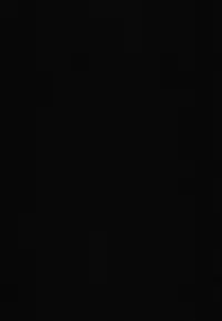 (C85) [Ash Wing (Makuro)] BF III -bijoux fantaisie- [Chinese] [刷牙子&月影姬 汉化]