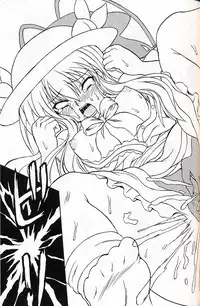 (C75) [Takakuya (Takaku Toshihiko)] Touhou Youjo Ranbu 9 (Touhou Project)