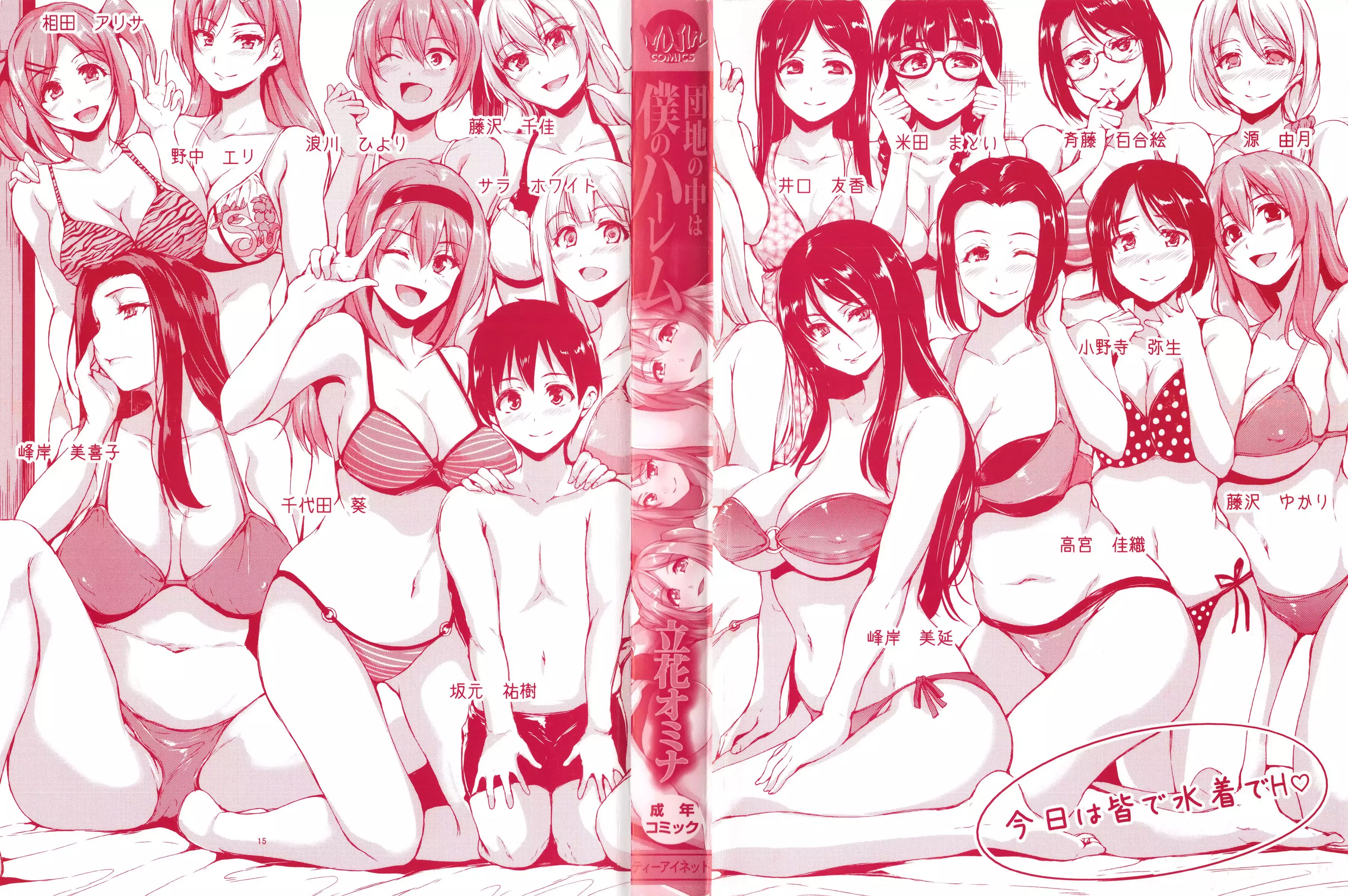 Danchi no Naka wa Boku no Harem - My Harem is the Apartment Complexes