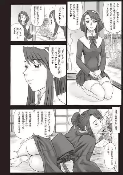 Shiritsu Risshin Gakuen -Seishori Iin to, Sono Oshigoto.