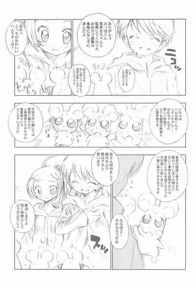 BATTLE FOR THE PLANET OF THE HAMS