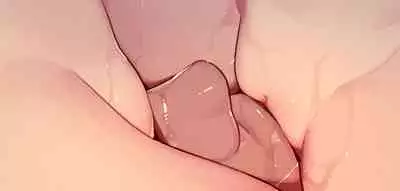 [MonsieuR (MUK)] Tiny Evil - Tennen Doesu Mesugaki Inma-chan-tachi no Mugen Sakusei Jigoku [Textless] [Digital]