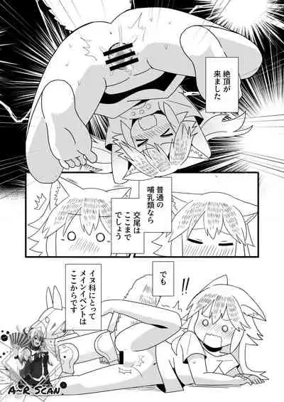 Nbabba Nbanbanbanba Nbabba!