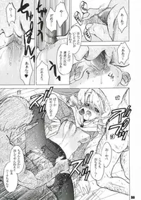 (SC33) [Toko-ya (Kitoen)] Nina-san ga Taihen na Koto ni Naru Hon. (Breath of Fire IV)