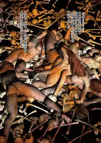 COMIC KURiBERON 2018-05 Vol. 67