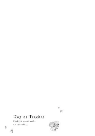 [Sechi] Dog or tīchā - hōkago, sensei-tachi no shitsuke ke ai - | Dog or Teacher-放学后，老师们的调教恋爱- Class.1-5 end [Chinese] [莉赛特汉化组]