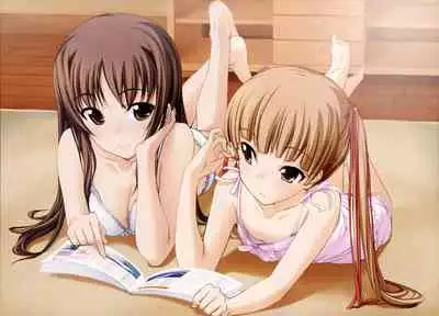 Shin Ringetsu Visual Fanbook