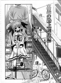 (SC36) [STUDIO HUAN (Raidon)] Fate-chan. Mahiru no Rojou Choukyou Hen (Mahou Shoujo Lyrical Nanoha)