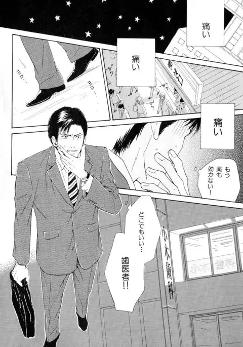 b-BOY Phoenix Vol.11 Shiroisha Tokushuu