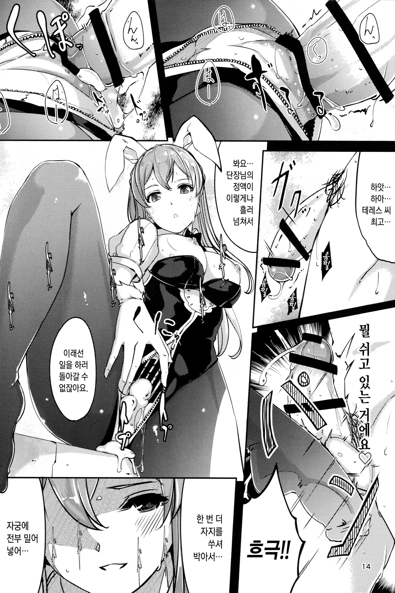 Ecchi na Usagi wa Suki desu ka