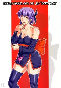 (C67) [Bakuretsu Fusen (Denkichi)] Dedo de Ara Vol. 1 (Dead or Alive) [English] [SaHa]